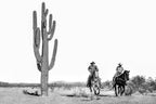 Frontier: Cowboys of the Americas by Anouk Masson Krantz