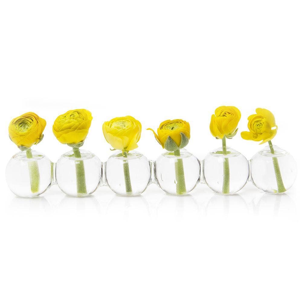 Caterpillar Clear Glass Bud Vase Long. Small And Large