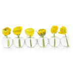 Caterpillar Clear Glass Bud Vase Long. Small And Large