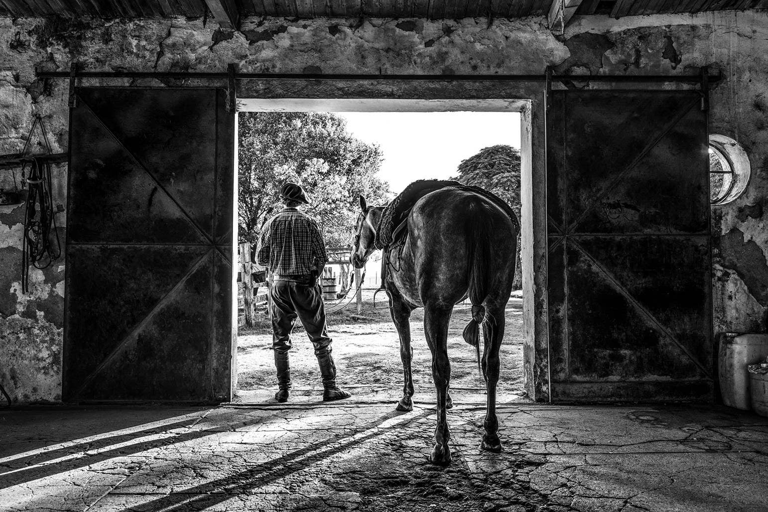 Frontier: Cowboys of the Americas by Anouk Masson Krantz