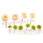 Caterpillar Clear Glass Bud Vase Long. Small And Large