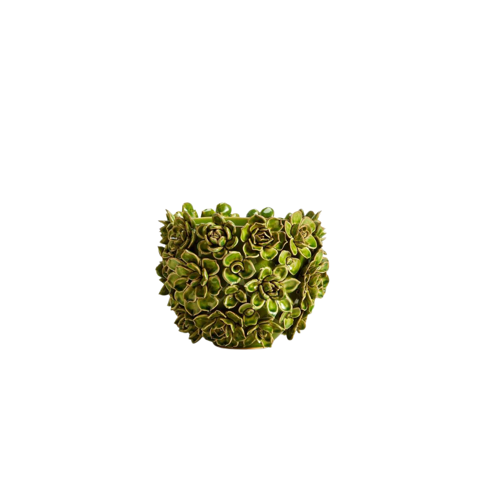 Small Green Succulent Planter/Vase