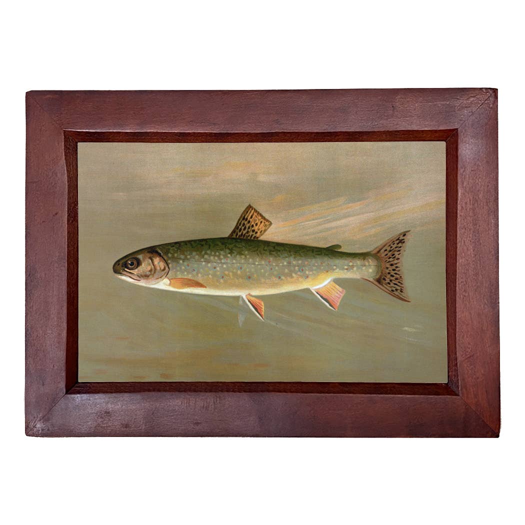 American Brook Trout Reproduction Vintage Print Behind Glass