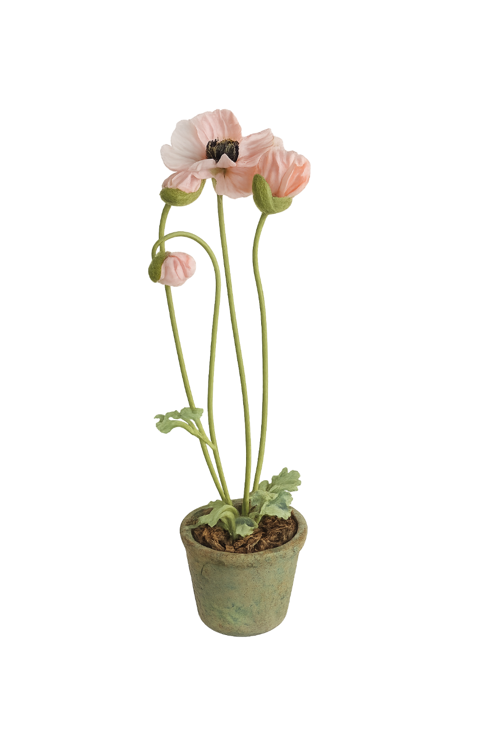 Poppy in Terracotta