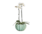Large Celadon Gourd Vase