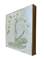 Ivory Orchid i by Kate Dalton