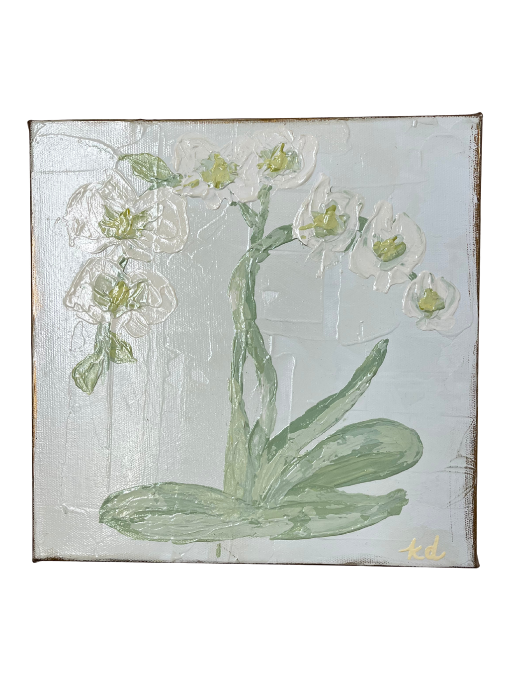Ivory Orchid i by Kate Dalton
