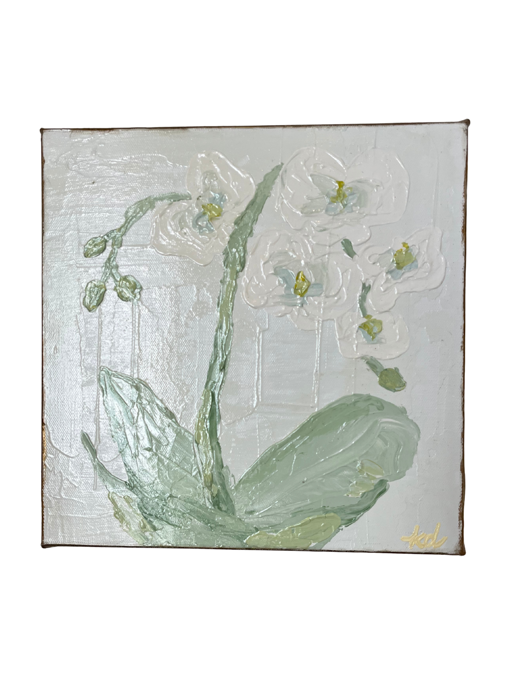 Ivory Orchid iii by Kate Dalton