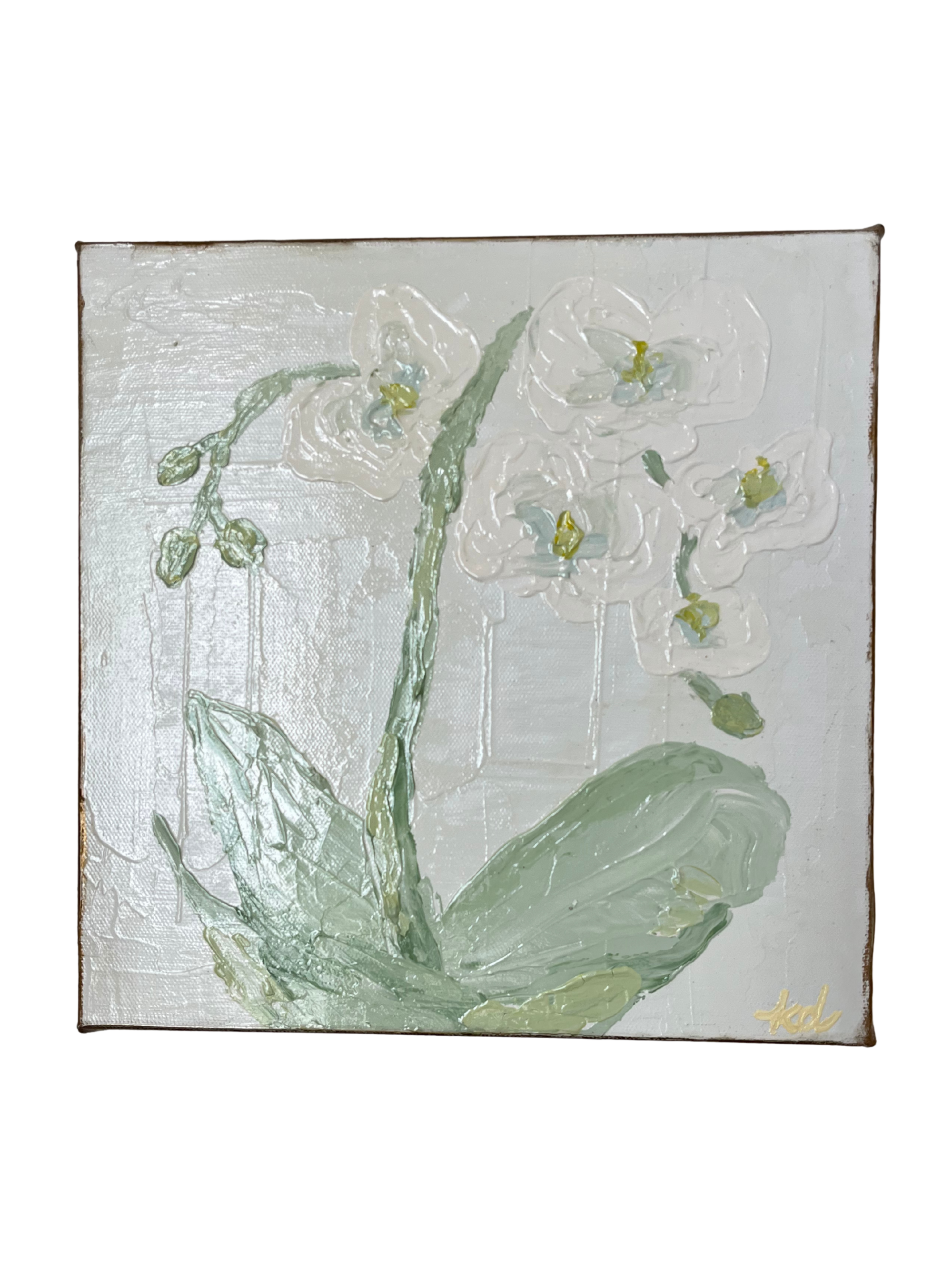 Ivory Orchid iii by Kate Dalton