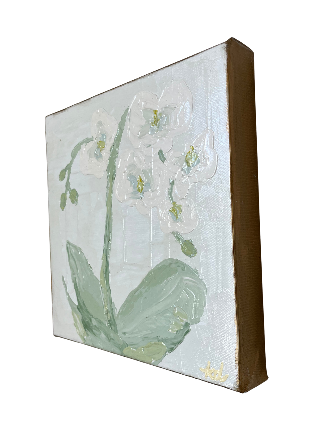 Ivory Orchid iii by Kate Dalton