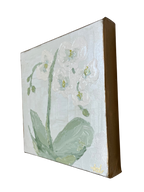 Ivory Orchid iii by Kate Dalton