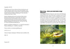 Little Black Book of Fly Fishing by Kirk Deeter