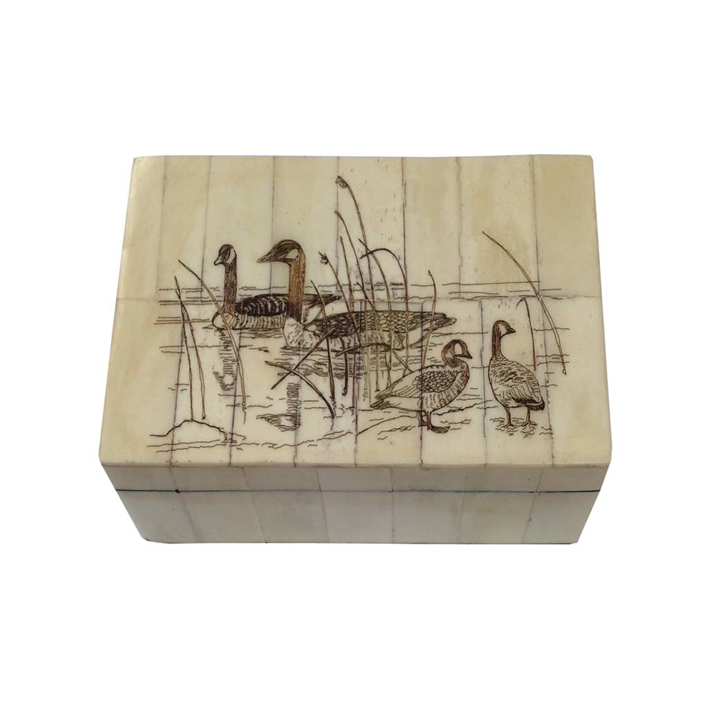 Canadian Goose Vintage Scrimshaw Bone Box, 5-1/4”