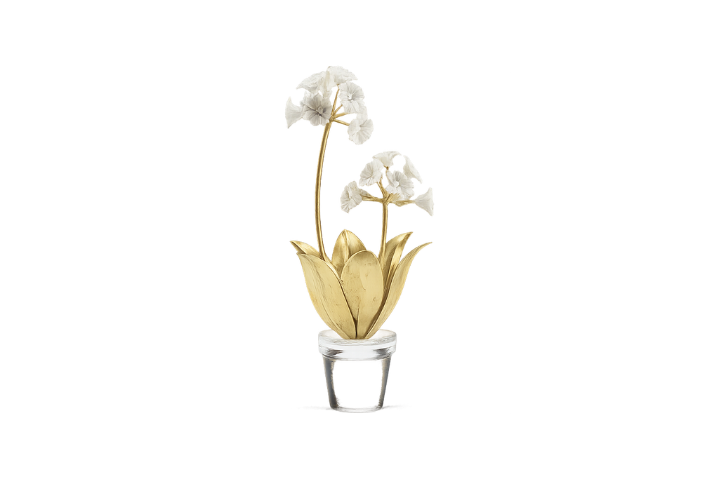Auricula Flower in Pot