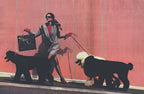 Chic Dogs Book