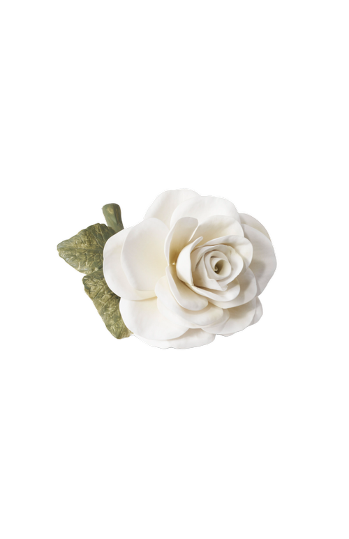 Cream Porcelain Rose