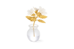 Violet Flower in Pot