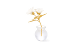 Violet Flower in Pot